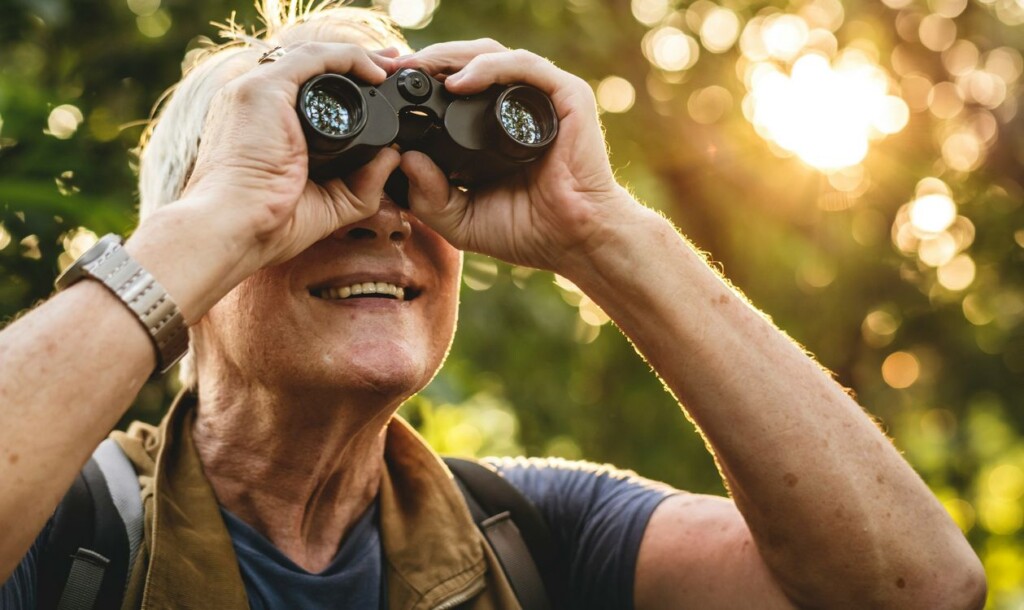 Birdwatching Rewires the Brain and Slows Cognitive Decline