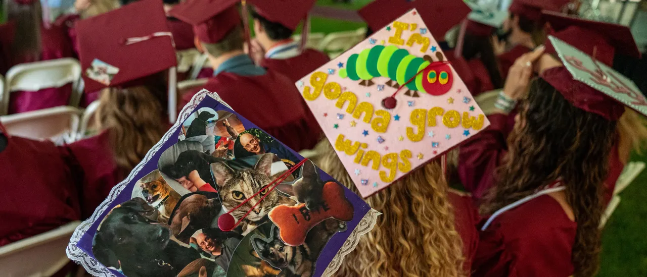 The Cream Of The Crop Exam For College Entry Nothing Like It Used To Be. Study Shows Test-Makers Neutered It