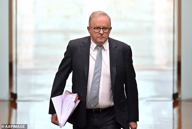 First-time homebuyers who scraped together their savings, borrowed almost the entire purchase price and trusted the government's claim that 'now is a good time to buy', have been left with negative equity in their newly purchased homes. (Anthony Albanese is pictured)
