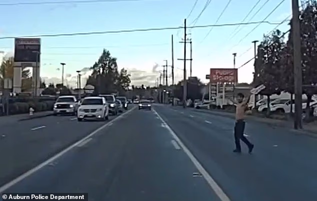 Shirtless suspect Mauro Alberto Felix Valles is seen wandering through busy traffic in Auburn, Washington, after police say he tried to get into passing cars, prompting officers to respond