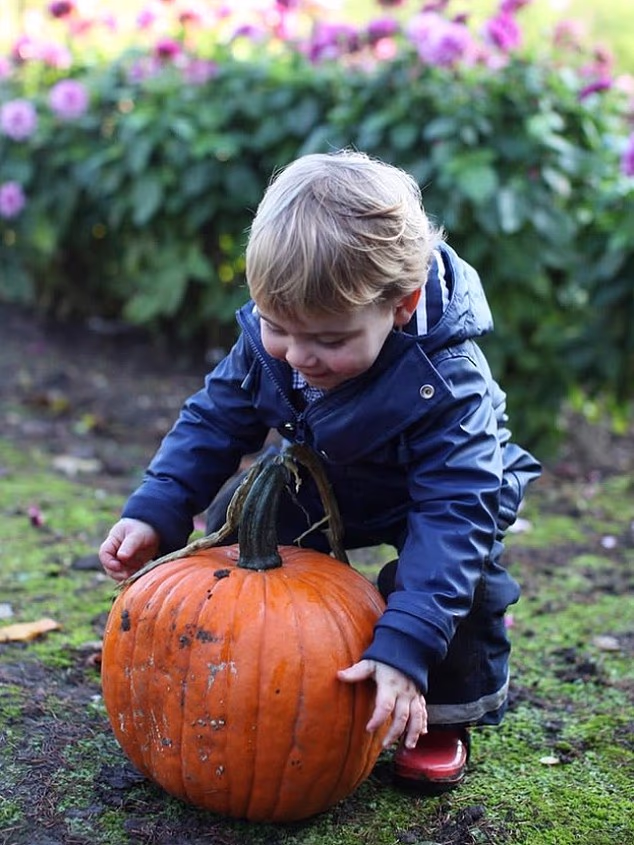 The Princess of Wales posted this adorable throwback snap of Prince Louis, aged one, as she wished fans a happy Halloween