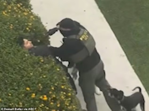 An unarmed bystander had a gun shoved in his face by a masked ICE officer on Friday morning while he walked two dogs