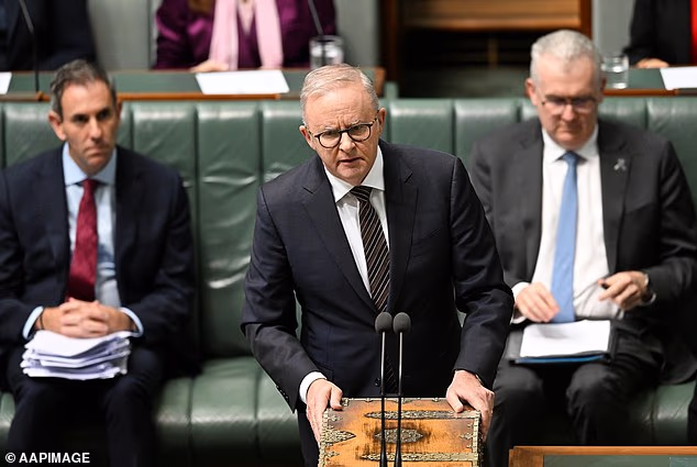 Mrs Rinehart took aim at growing government costs, saying that 'the larger governments get, the more they take from taxpayers'. Pictured, Anthony Albanese on Thursday